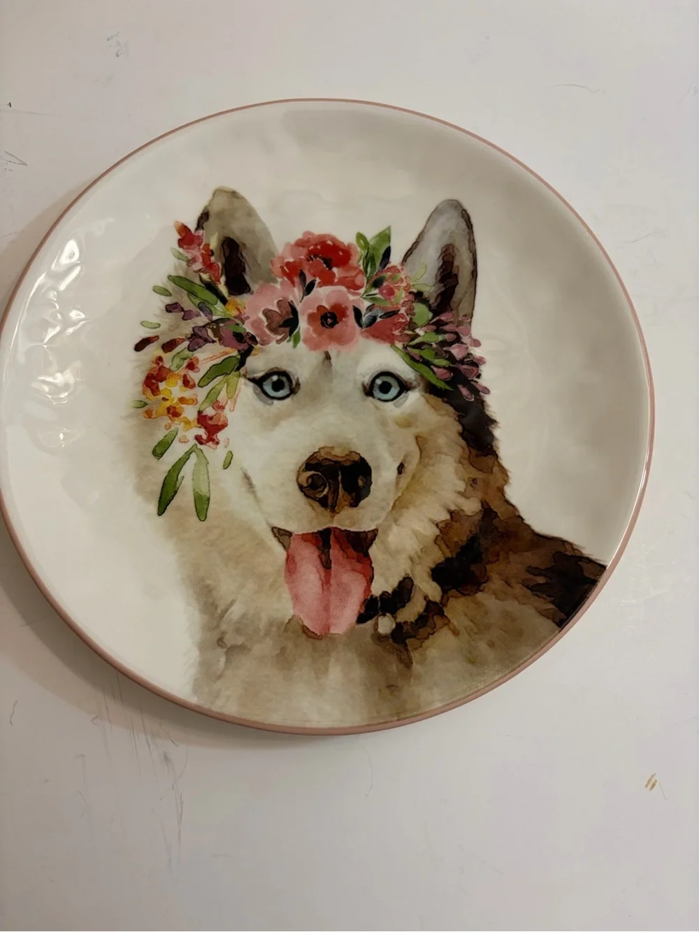 Pier one imports dolomite salad plate watercolor husky with floral crown